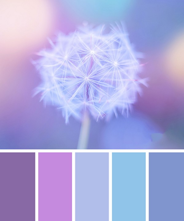 Màu tím pastel