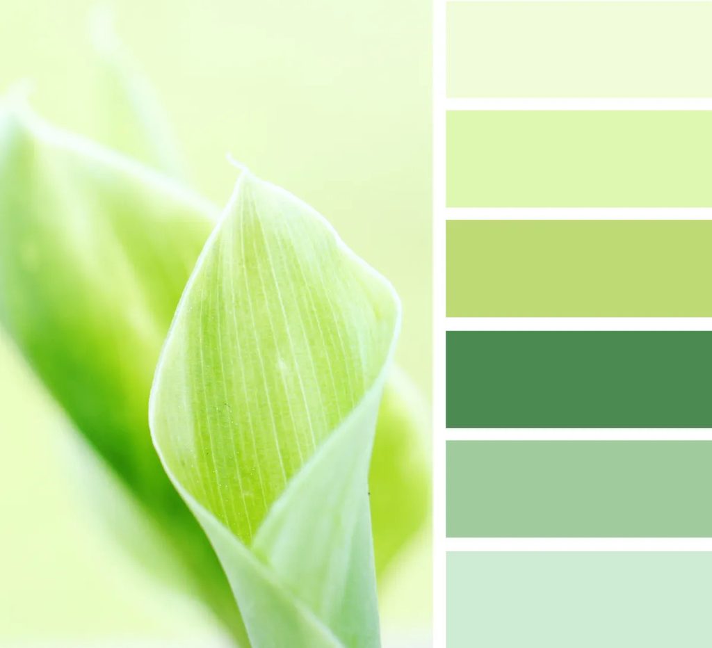 Màu xanh lá pastel
